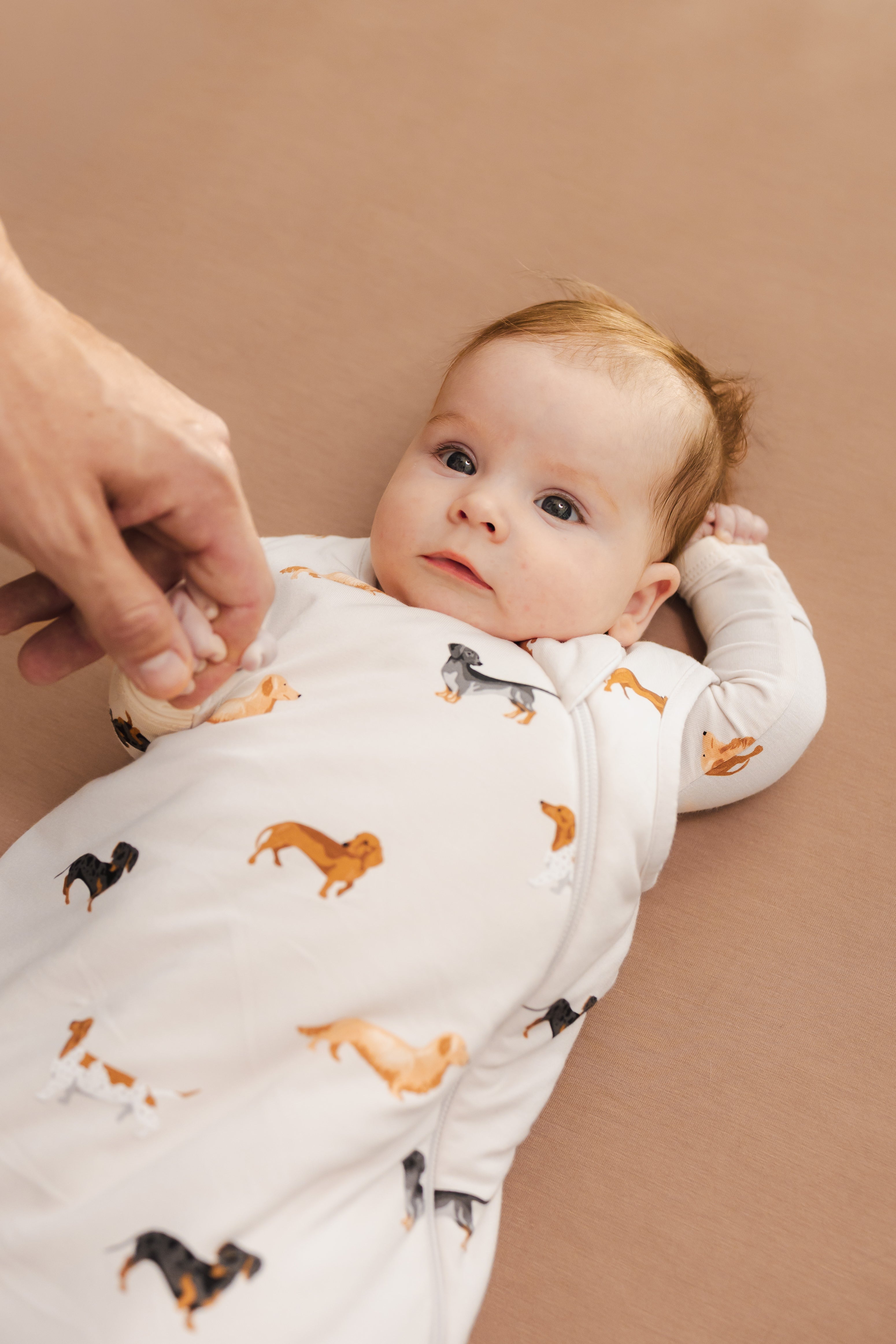Kyte Baby Sleep Bag in Bamboo Rayon thumbnail 5